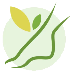 MediVoet Logo